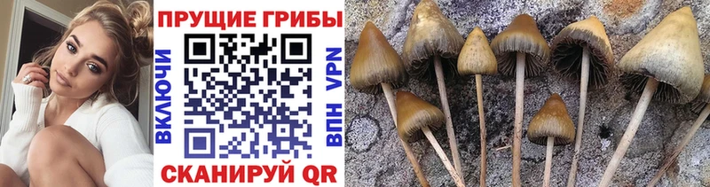 Галлюциногенные грибы прущие грибы  hydra как зайти  Фролово 