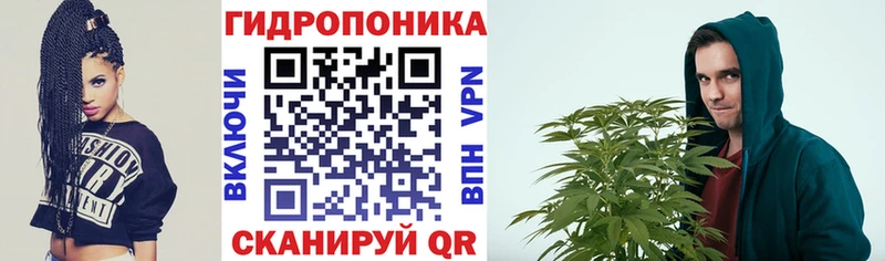 дарнет шоп  Фролово  МЕГА как войти  Каннабис OG Kush 